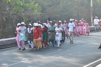 Balakrishna at Cancer Awareness 2013 Photos